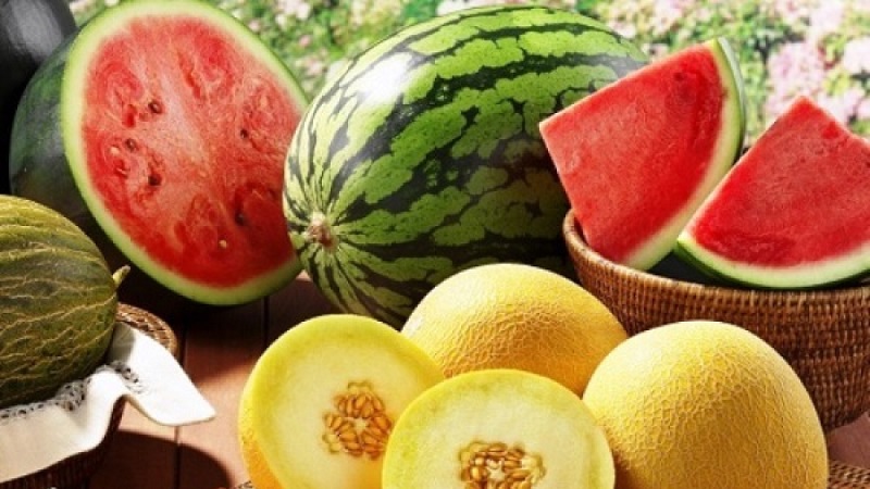 Was ist gesünder - Wassermelone oder Melone: ​​Vergleich von Zusammensetzungen und Eigenschaften