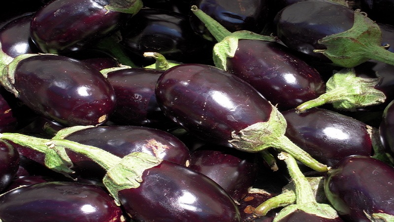 Was ist eine Aubergine - ist es eine Beere oder ein Gemüse? Wir finden es gemeinsam heraus und lernen die Pflanze näher kennen