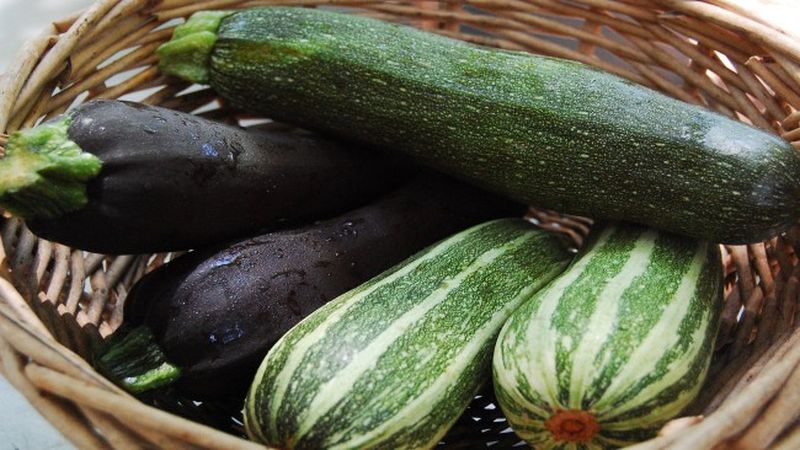 Was ist Zucchini Zucchini: Wir lernen die Aussicht kennen, bauen sie auf unserer Website an und verwenden sie für köstliche Gerichte