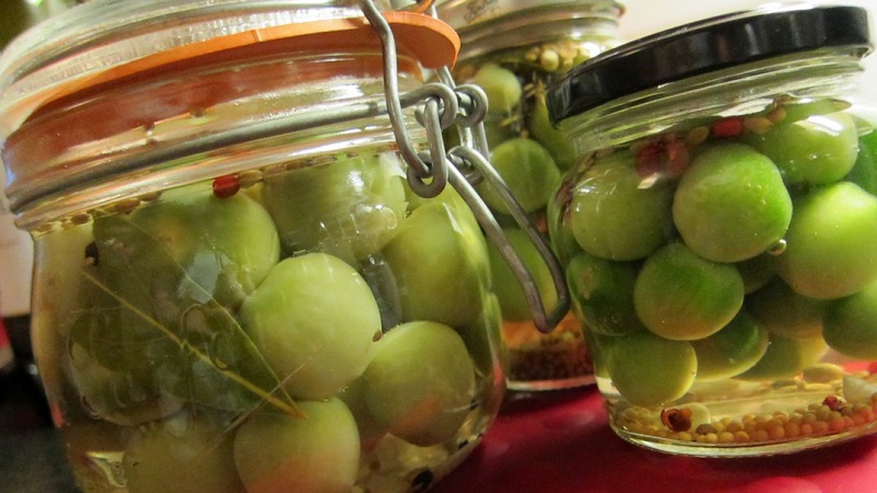 Wie man die leckersten grünen Tomaten für den Winter kocht: eine Auswahl der besten Rezepte