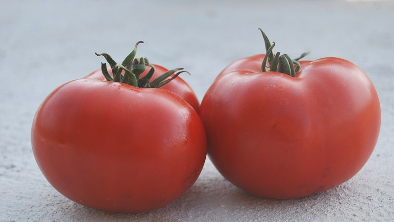 Unprätentiös, vielseitig einsetzbar, früh reife Tomate Druzhok f1: Bewertungen und Geheimnisse des Wachstums