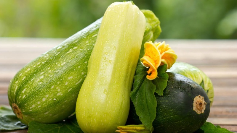 Die Vor- und Nachteile von Zucchini für die menschliche Gesundheit: wie viel und in welcher Form zu essen, um den Körper nicht zu schädigen