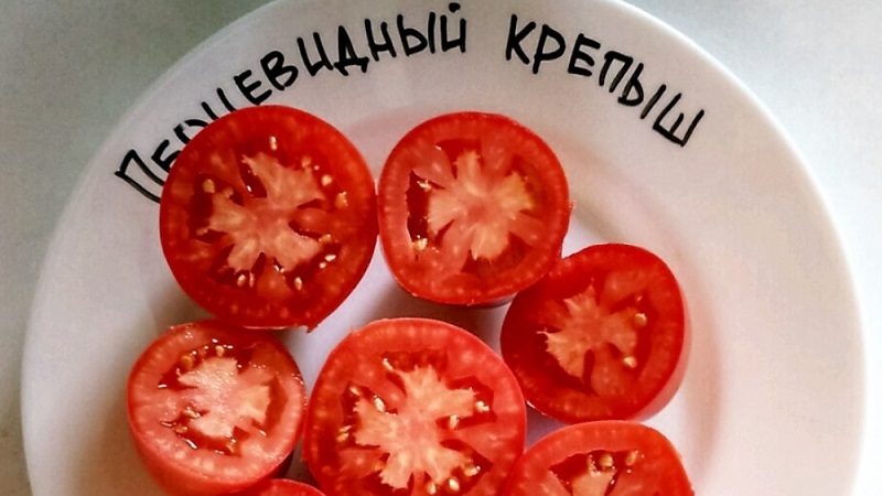 Probieren Sie diese ungewöhnliche Sorte, die Sie nicht gleichgültig lässt - Tomato Pepper-förmig robust