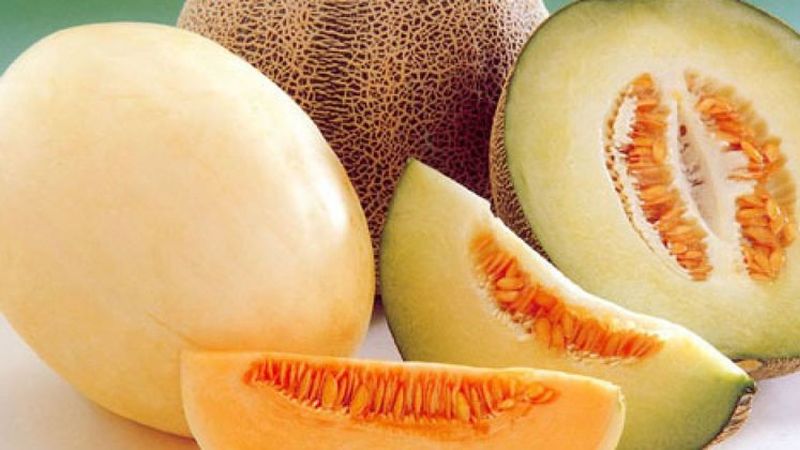 Schritt-für-Schritt-Anleitung zur Auswahl der richtigen Melone: ​​nützliche Tipps und Life-Hacks, um die köstlichsten Früchte zu finden