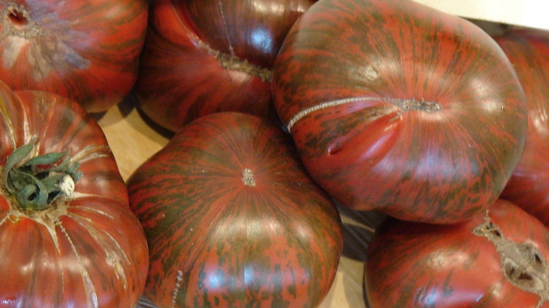 Eine Sorte mit ungewöhnlicher Farbe, einzigartigem Geschmack und appetitlichem Namen - Tomate Striped Chocolate