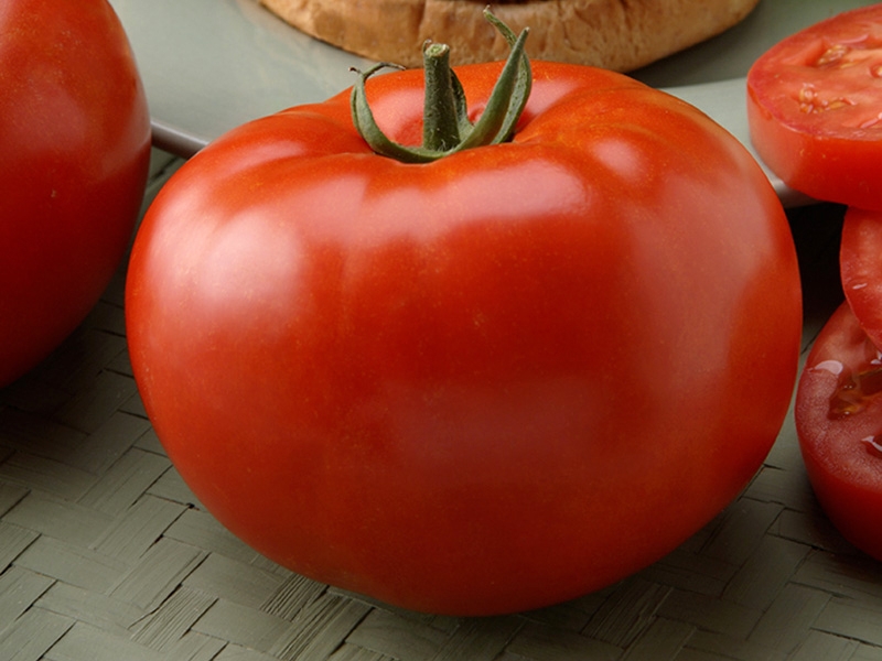 Süße, fleischige und unprätentiöse Tomate Sensei - eine Beschreibung der landwirtschaftlichen Techniken und Ratschläge von erfahrenen Sommerbewohnern