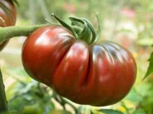 Beschreibung der Tomaten der Sorte Ananas: Merkmale ihres Anbaus auf offenem und geschlossenem Boden