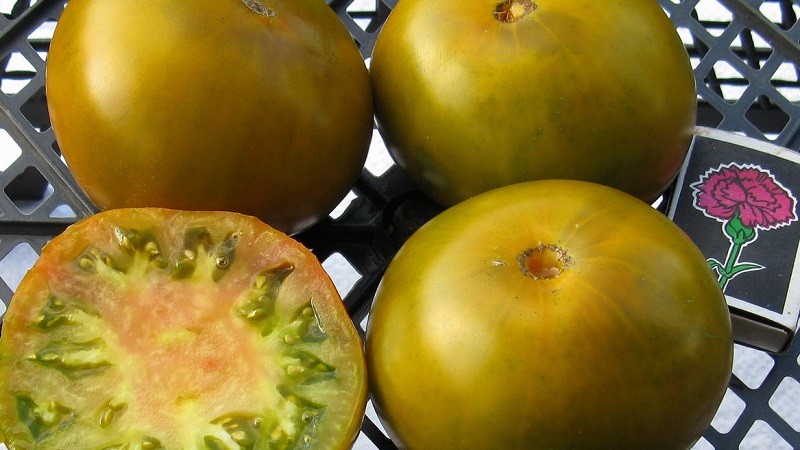 Eine erstaunliche Vielfalt an grünen Tomaten - die Sumpf-Tomate für echte Feinschmecker