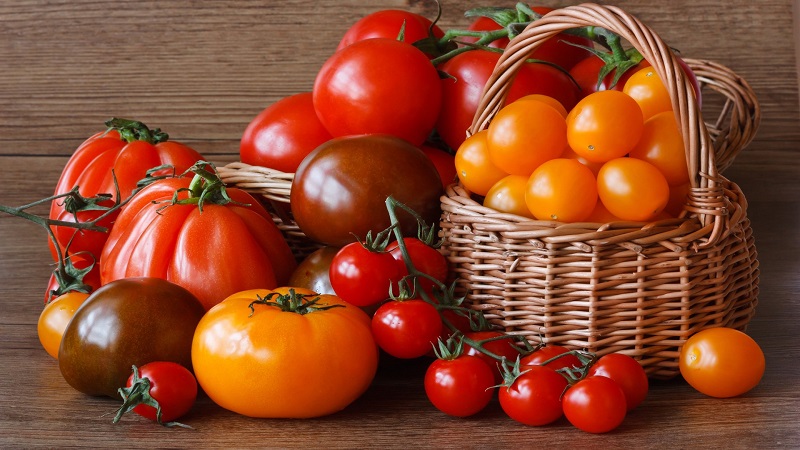 Wir werden lernen, wie man Tomaten zu Hause lagert und bis zum Winter frisches Obst genießt