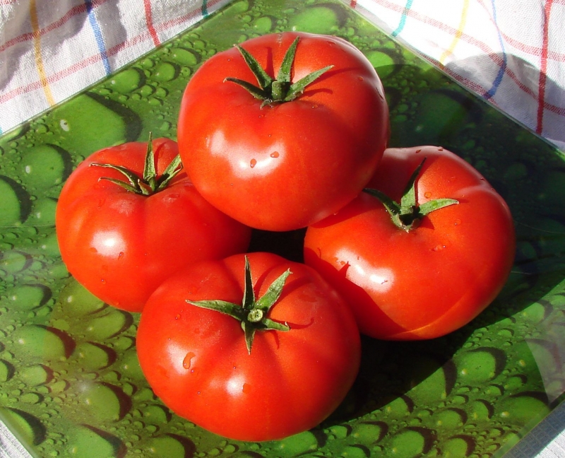 Soll ich eine Betta-Tomate auf meiner Website pflanzen? Eigenschaften und Fotos der Sorte, die Nuancen des Wachstums