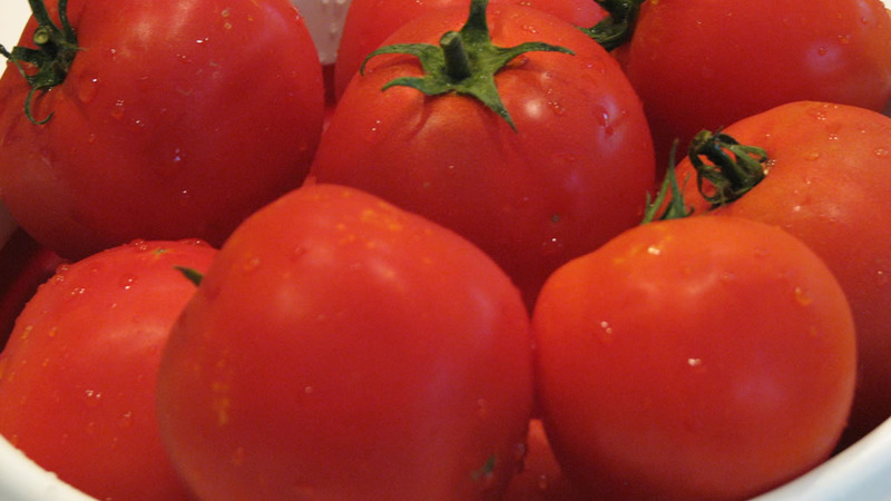 Wir erzielen einen hohen Ertrag bei minimalen Kosten und Risiken, indem wir eine kollektive Tomatenfarm anbauen