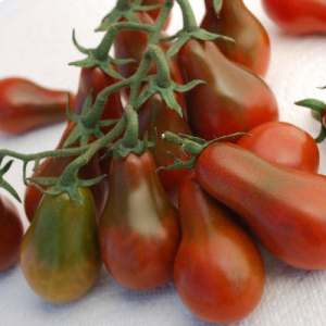 Interessantes Aussehen und angenehmer Geschmack für Kenner ungewöhnlicher Sorten - Black Pear Tomate