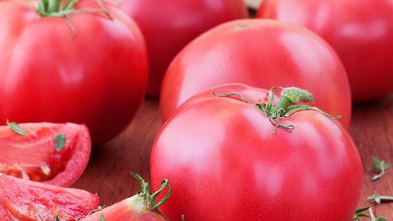 Nicht launisch zu pflegen, aber gleichzeitig reich an Ernte, Tomate Simpyaga: Fotos, Bewertungen und Geheimnisse des Wachstums