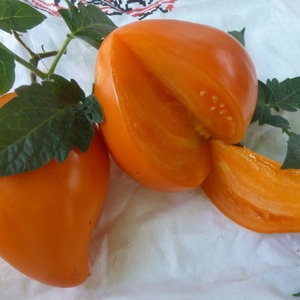 Riesige köstliche Orangenfrucht - Tomatenorangenerdbeere