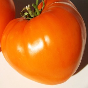 Riesige köstliche Orangenfrucht - Tomatenorangenerdbeere