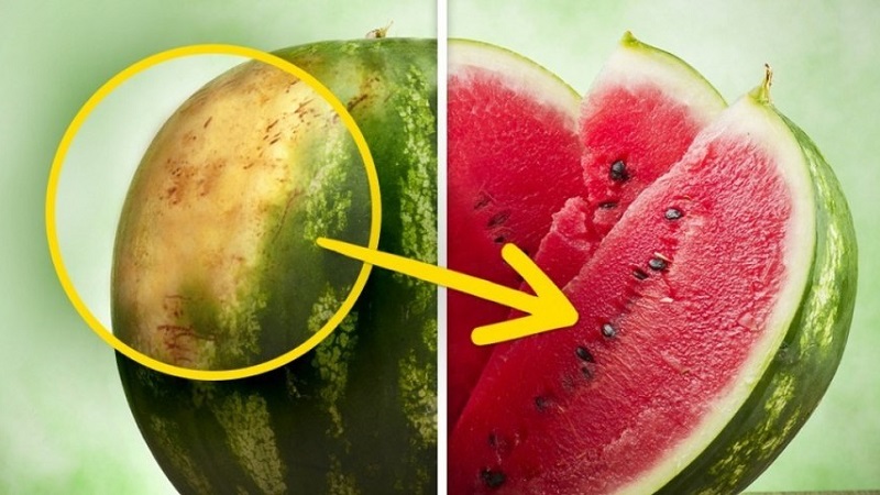 Wie man versteht, dass eine Wassermelone schlecht geworden ist und was zu tun ist, wenn es passiert ist