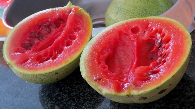 Wie man versteht, dass eine Wassermelone schlecht geworden ist und was zu tun ist, wenn es passiert ist