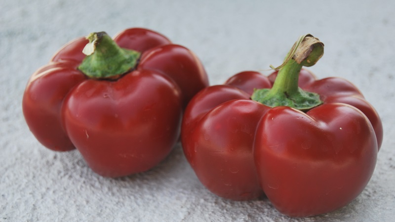 Wie man Paprika aus der Gogoshary-Gruppe richtig anbaut: Merkmale von Sorten und Bewertungen von Sommerbewohnern