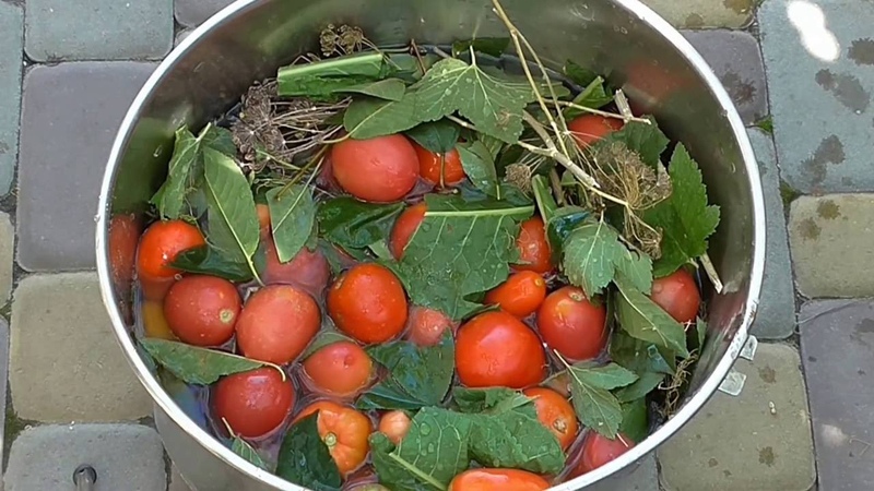 Top 10 der besten Rezepte zum Einlegen von Tomaten in einen Topf: die schnellsten, einfachsten, aber köstlichsten Kochoptionen