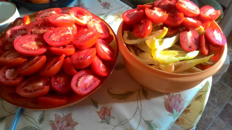 Top 10 der besten Rezepte zum Einlegen von Tomaten in einen Topf: die schnellsten, einfachsten, aber köstlichsten Kochoptionen