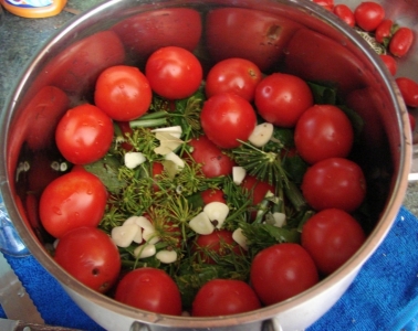 Top 10 der besten Rezepte zum Einlegen von Tomaten in einen Topf: die schnellsten, einfachsten, aber köstlichsten Kochoptionen