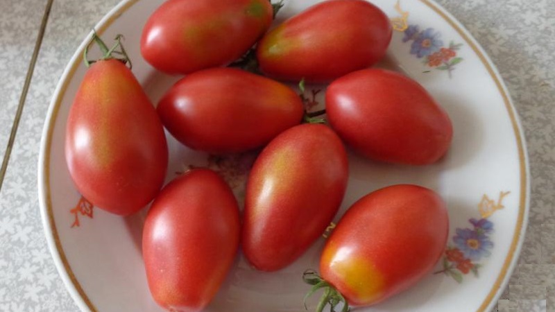 Eine reichhaltige Ernte kleiner Pflaumentomaten aus jedem Busch - Tomatenrosa Rosinen und die Geheimnisse der Pflege