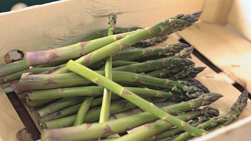 Was ist Spargel, wie sieht er aus und wird verwendet?