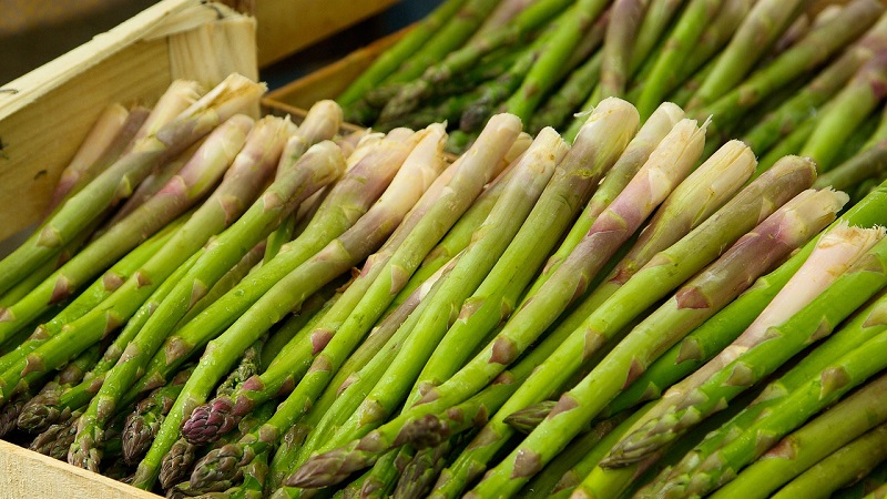 Was ist Spargel, wie sieht er aus und wird verwendet?