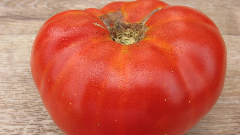 Wird eine späte Ernte geben, aber die Erwartungen erfüllen - Tomate Andreevsky Überraschung