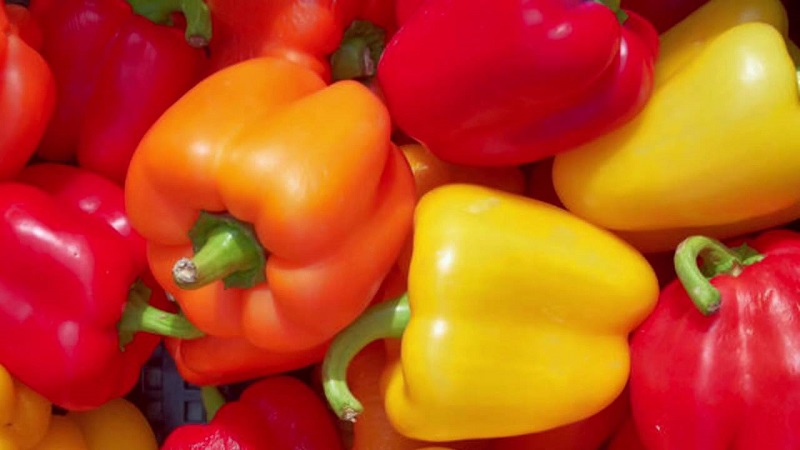 Wo und wie man Paprika für den Winter aufbewahrt: frisch, gefroren, getrocknet, getrocknet und in Dosen