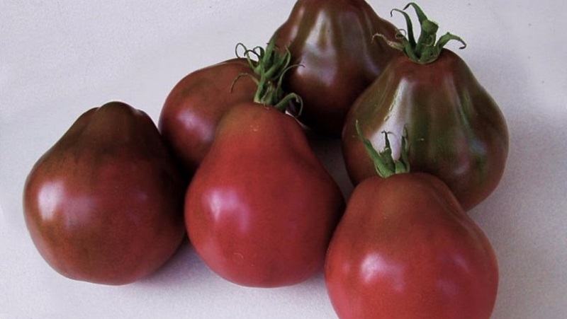 Tomaten, ideal für die Konservierung und nicht launisch in der Pflege, japanische Trüffel: Bewertungen, Fotos und wachsende Geheimnisse