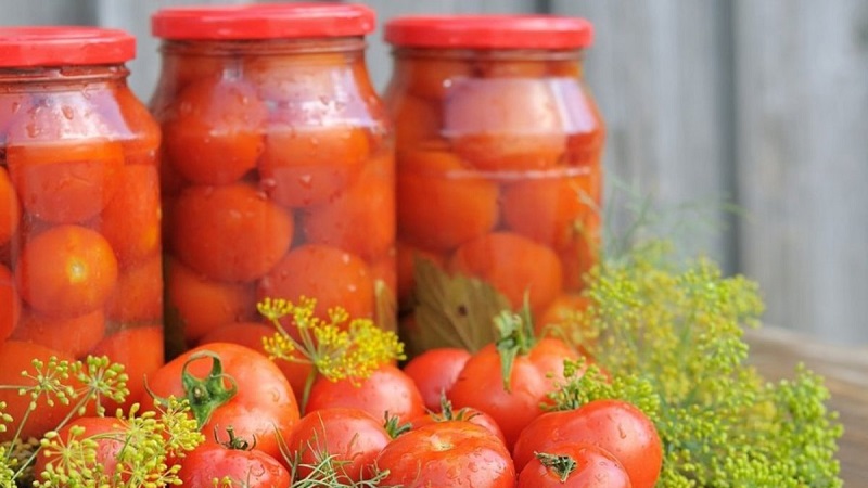 Canned tomatoes for the winter: a selection of the best recipes and useful tips for the correct preparation of twists