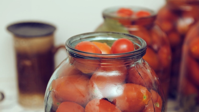 Canned tomatoes for the winter: a selection of the best recipes and useful tips for the correct preparation of twists