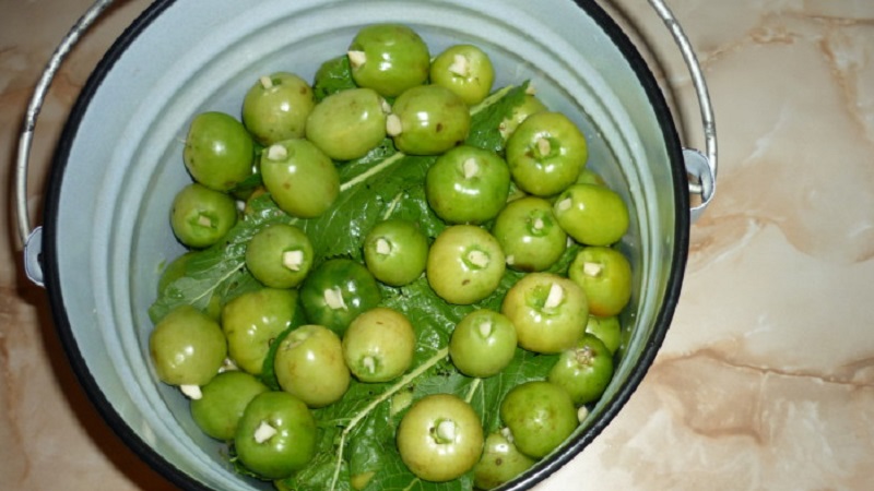 Beste Methoden zum kalten Einlegen von grünen Tomaten in einen Eimer