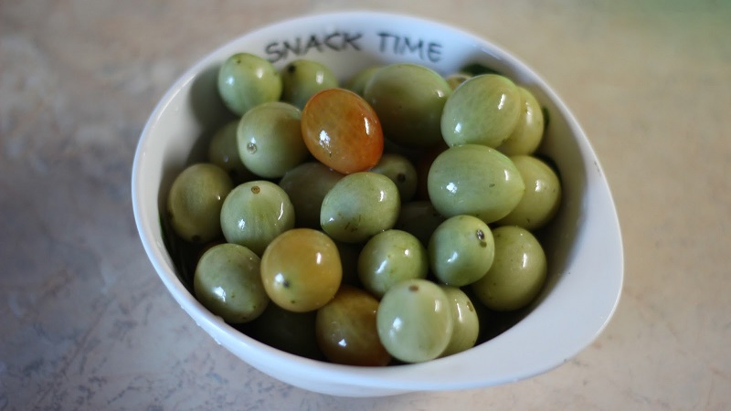 Beste Methoden zum kalten Einlegen von grünen Tomaten in einen Eimer