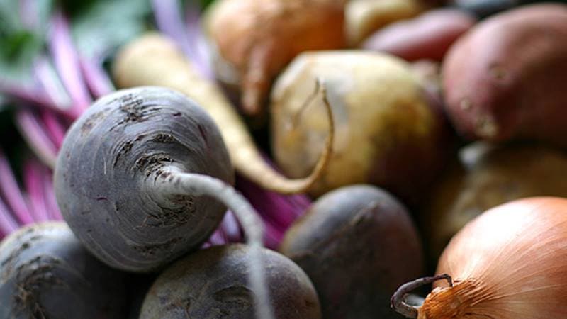 Die besten Möglichkeiten, Rüben zu lagern: Wählen Sie die richtige und schützen Sie die Ernte vor Verderb