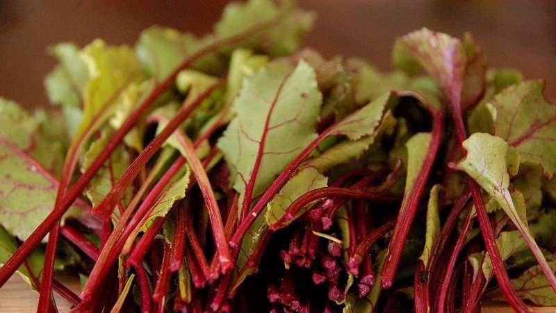 The best ways to harvest beet leaves for the winter and recipes from them