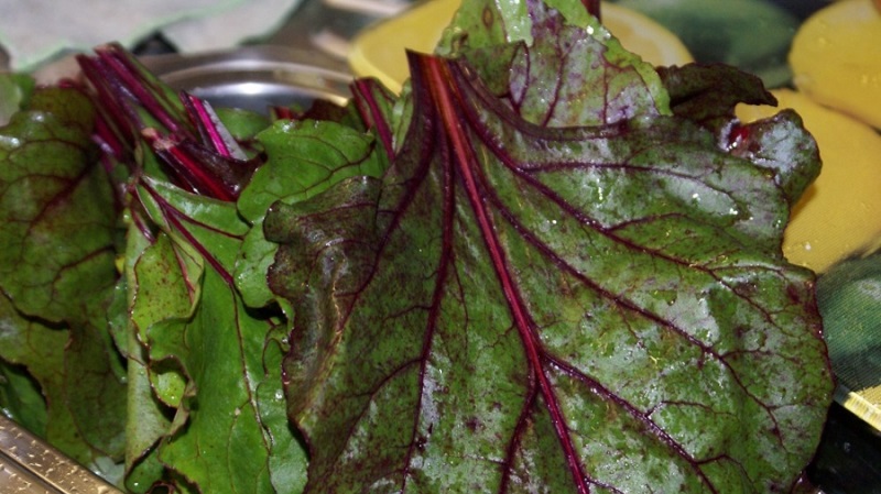 The best ways to harvest beet leaves for the winter and recipes from them