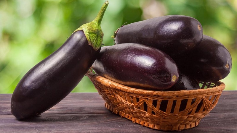 Ist Aubergine bei Gastritis möglich: Argumente für und gegen akzeptable Verwendungsmöglichkeiten