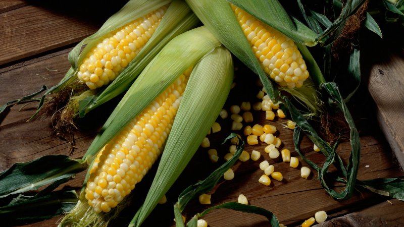 Ist es möglich, rohen Mais zu essen: Nutzen und Schaden von frischem Gemüse, mögliche Kontraindikationen