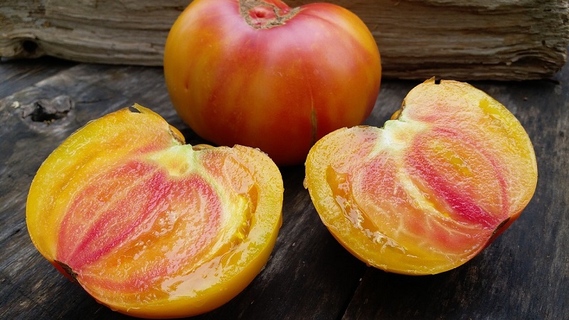 Unglaublich süßer und unglaublich schöner Tomatenhoniggruß