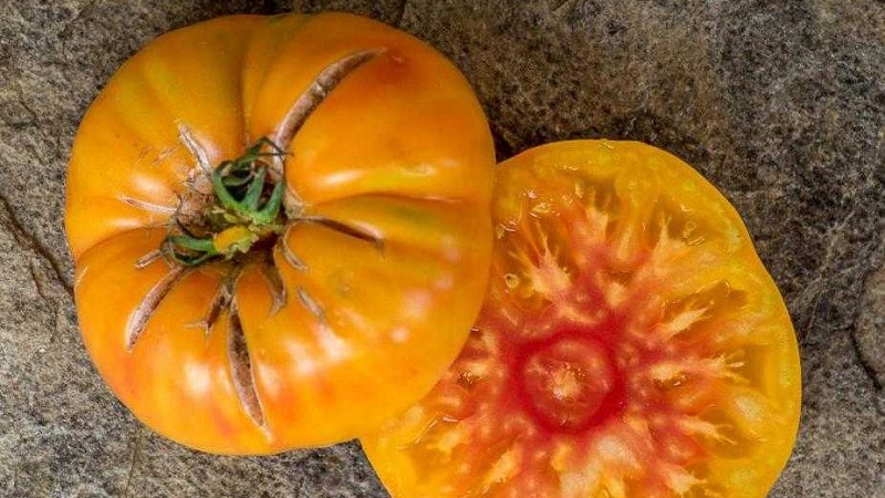 Unglaublich süßer und unglaublich schöner Tomatenhoniggruß