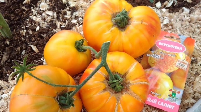 Unglaublich süßer und unglaublich schöner Tomatenhoniggruß