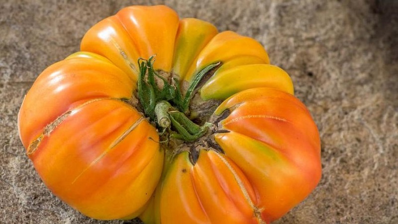 Unglaublich süßer und unglaublich schöner Tomatenhoniggruß