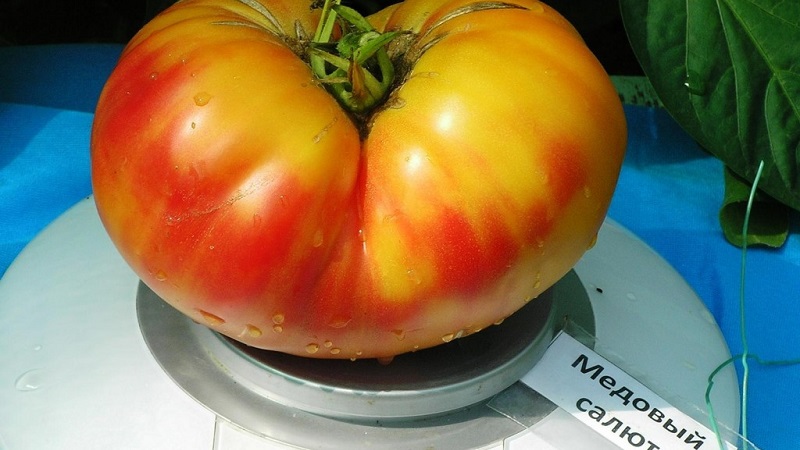 Unglaublich süßer und unglaublich schöner Tomatenhoniggruß