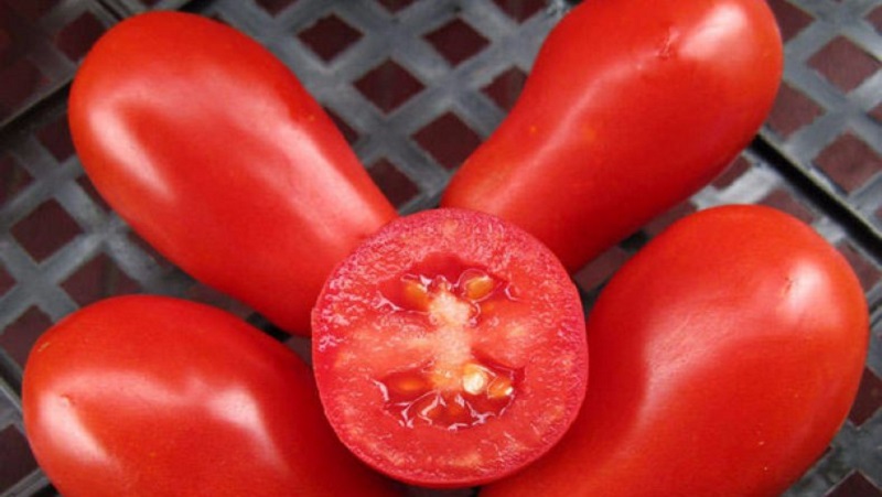 Warum Gärtner Tomatenspezialitäten so sehr mögen und wie man sie auf ihrem Gelände anbaut, nachdem sie eine reiche Ernte erhalten haben