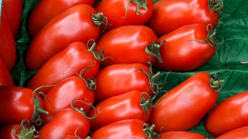 Warum Gärtner Tomatenspezialitäten so sehr mögen und wie man sie auf ihrem Gelände anbaut, nachdem sie eine reiche Ernte erhalten haben