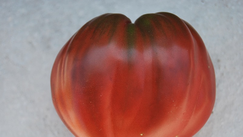 Eine vollständige Überprüfung der Tomate Black Heart Brad: Eigenschaften und Beschreibung der Sorte, ihre Vor- und Nachteile