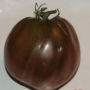 Eine vollständige Überprüfung der Tomate Black Heart Breda: Eigenschaften und Beschreibung der Sorte, ihre Vor- und Nachteile