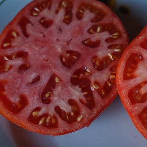 Eine Anleitung zum Anbau einer russischen Bogatyr-Tomate auf freiem Feld oder im Gewächshaus für Anfängergärtner